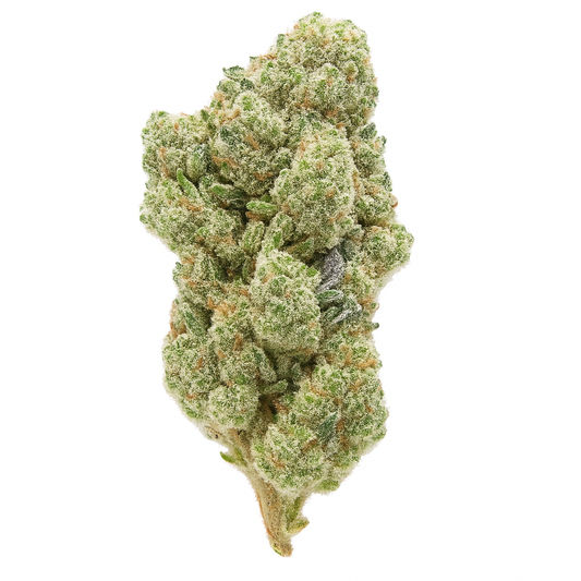 Cheetah Piss THCA