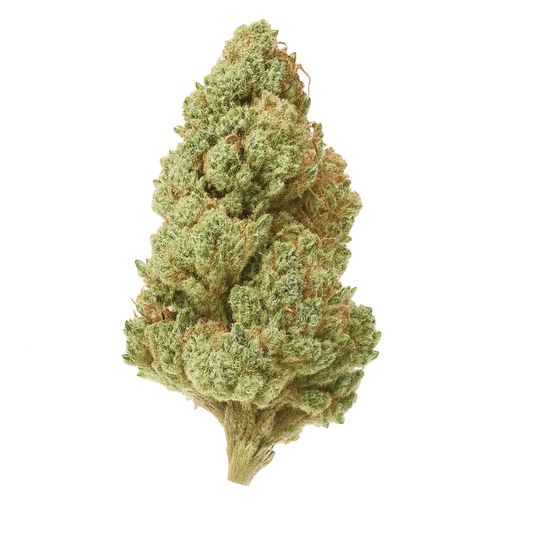 Purple Tangie THCA